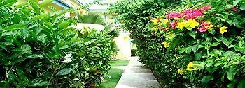 Anchorage Inn Dickenson Bay Hotel